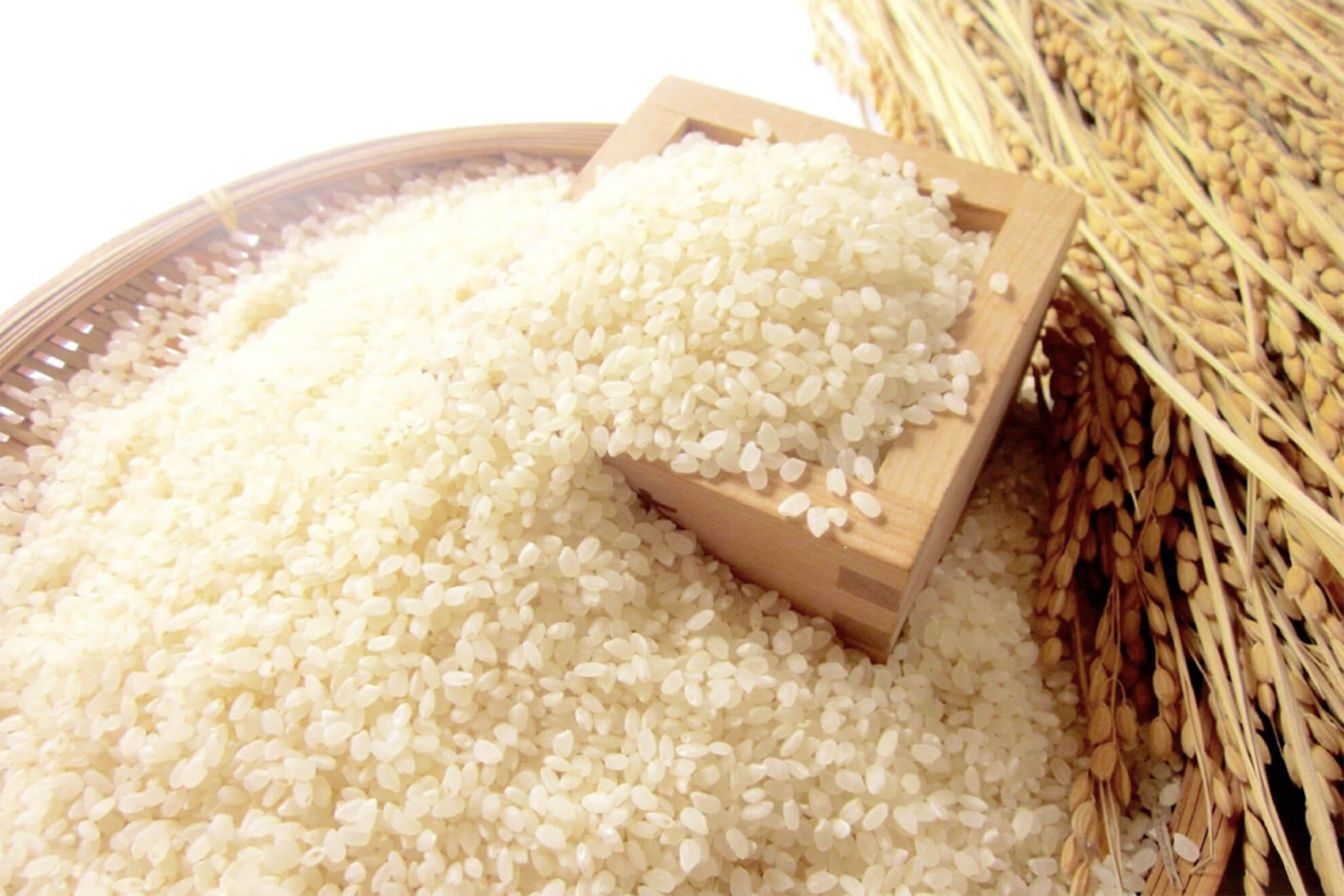 米のプロ！米農家さん直伝のお米の保存方法と炊き方